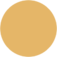 Het Gouden Boltje