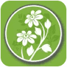 Heyden's Gardens