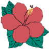 Hibiscus Coffee & Guesthouse