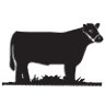 Hilltop Butcher Shop LLC