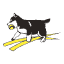 Himeji Animal Clinic
