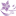 Matsudohinageshi Dermatology