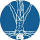 Hip to Toe - Podiatry & Physiotherapy, Arundel, Gold Coast