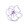 HIVE Fragrance Studio