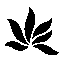 Hoalen Ocean Store Kelerdut