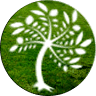 Hocus Crocus Gardens & Trees Award Winning Tree Surgeons Arborists Gardener