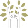 Hoddesdon Dental Surgery