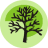 Arborista, dendrolog – Ing. Petr Kubík, Ph.D.