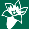 Ferienwohnung Moll