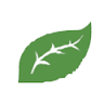 Hofweb