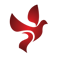 Holub Insurance Agency