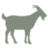 HomeFarm at Undermountain
