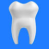 Dr. Layne Godzina, DDS