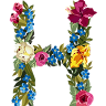 Hoover Florist