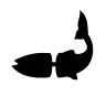Hopman's Zeevis