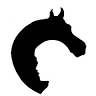 Horse & Buddy Therapeutic