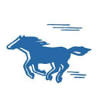 HORSEFIRE Riding Articles
