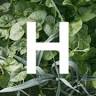 Hortikula