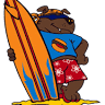 HotDog Surf Shop