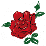 Hotel delle Rose