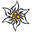 Edelweiss