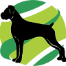 Vida Pet Hotel para Cães