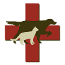 Highland Park Animal Hospital: John Vandermeer DVM