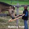 Hudson Valley Horse Play