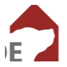 Hundezentrum Esslingen - Hundeschule, Hundepension, Hundetagesstätte, Hundeinternat