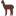 Hunter Alpaca Stud