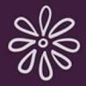 Hunter Gynaecology