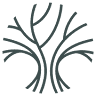 Commonwealth Law Group