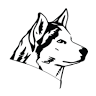 Huskii