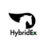 Hybrid Express Logistics