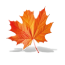 Ian Wilde Independent Funeral Directors