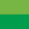 International Broking Company Trading S.R.L.