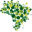 Portaria 2 - Floresta Nacional de Ipanema