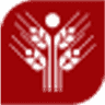 Grupo Idugel Industrial - Unidade Brasil