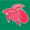 Iemmi Ermanno Feed Accessories Aquariums