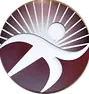 Integrated Health and Wellness Center P.C.