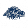 IIIT-H | The International Institute of Information Technology - Hyderabad