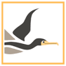 Il Cormorano