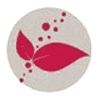 Il Giardino Armonia E Benessere Srl