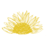 Il Girasole Snc Di Cecchella Margherita e C