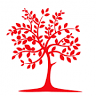 Illawarra Financial Group