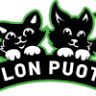 Ilon Puoti