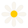 Daisy Cakes
