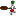 Il pizzaiolo pizza napoletana