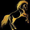 Imperial Equestrian