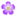 Expressions In Bloom Fine Flowers